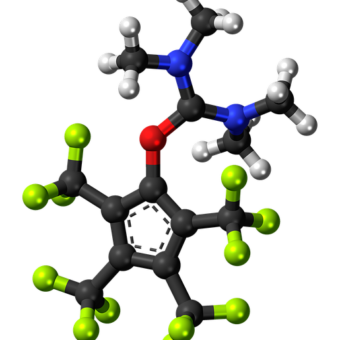 tetramethyluronium 835793 640